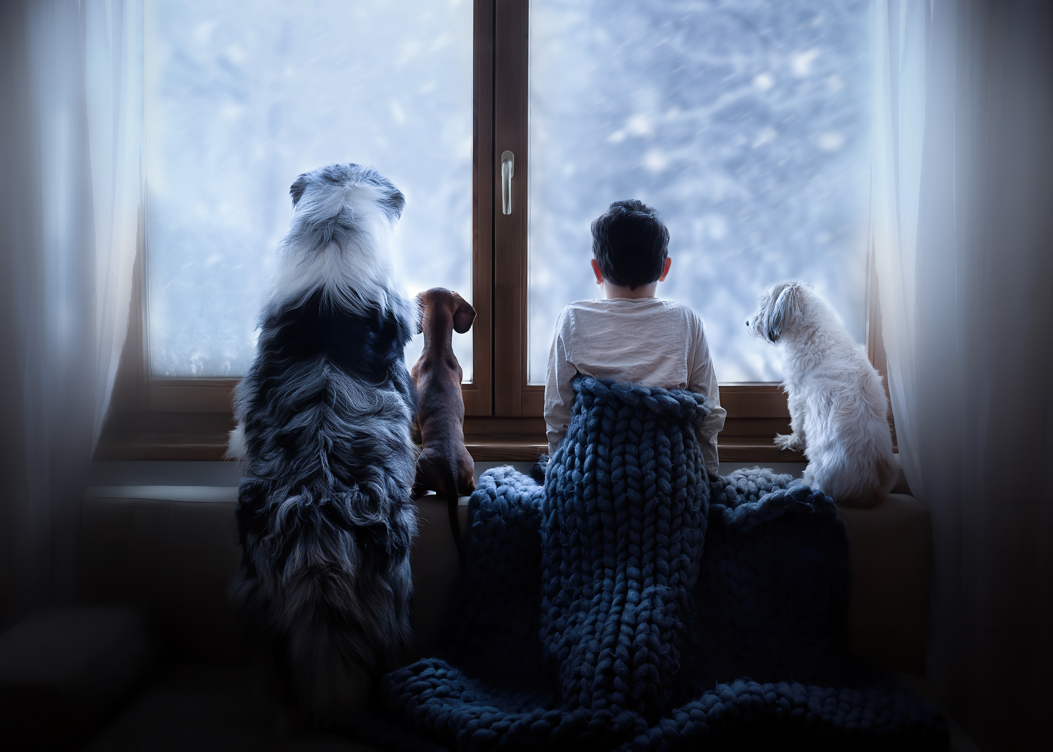 Aniko Vocelka Photography