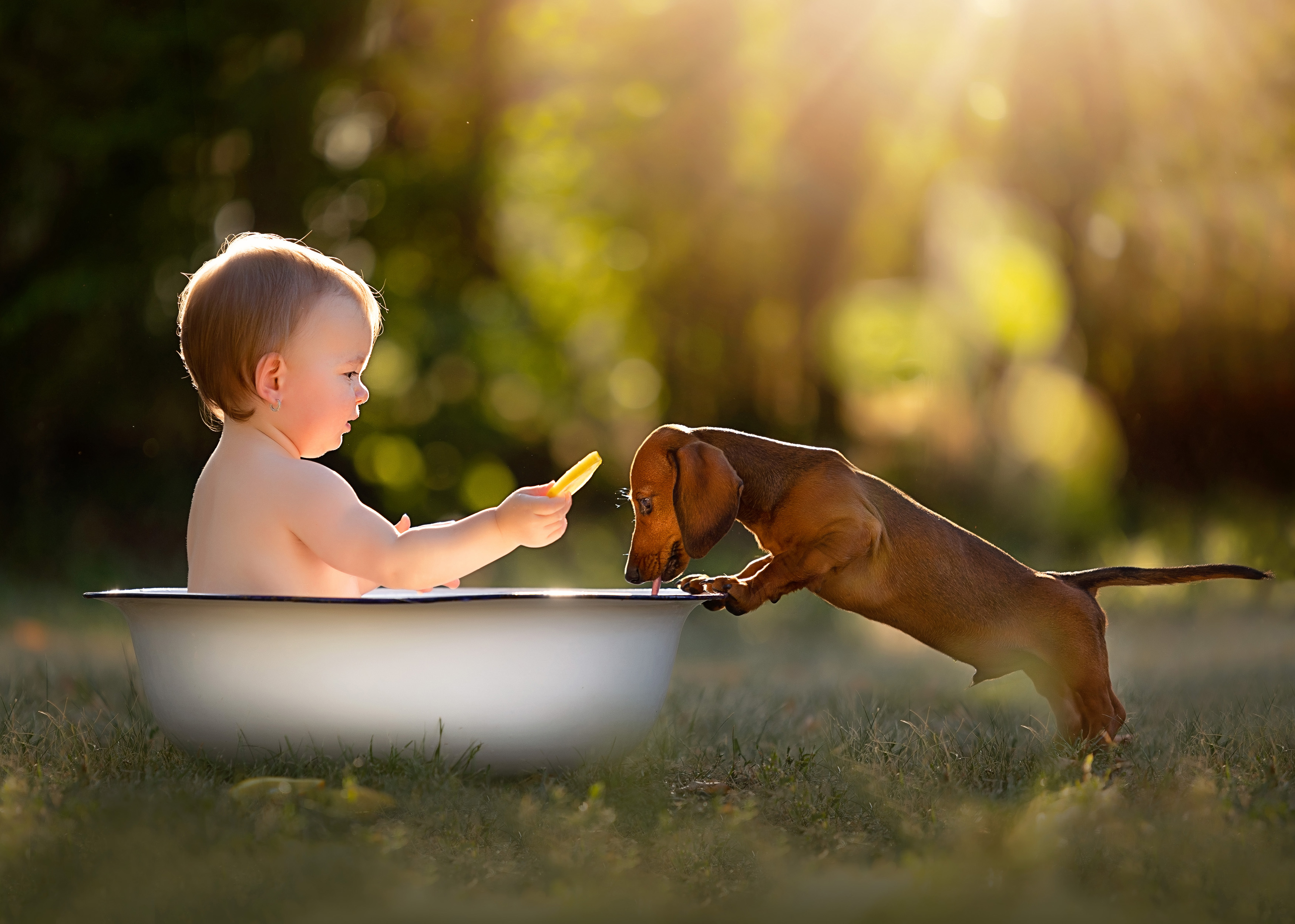 Aniko Vocelka Photography