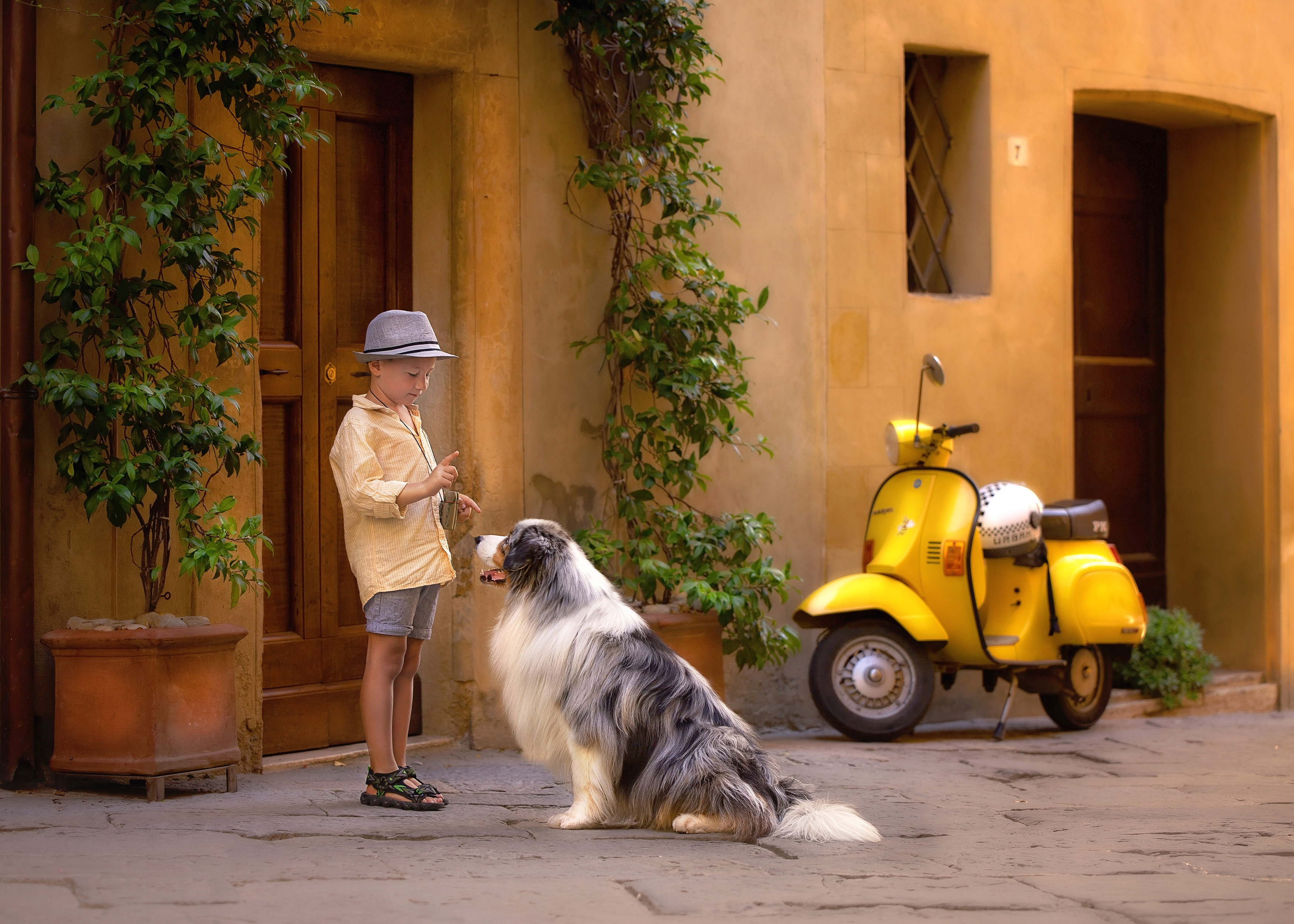 Aniko Vocelka Photography