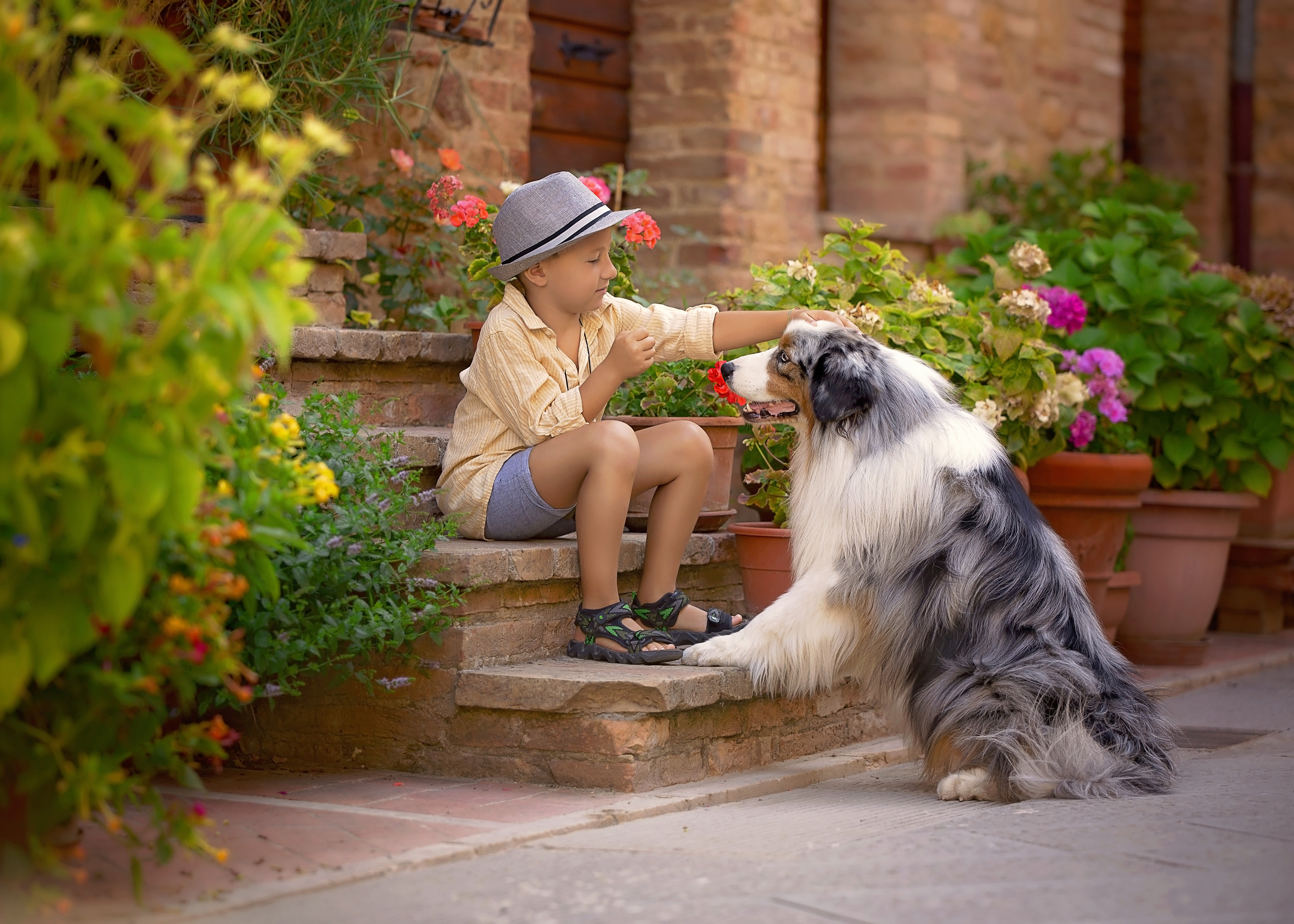 Aniko Vocelka Photography